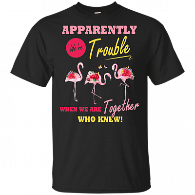 Apparently We're Trouble When We're Together Who Know Flamingo T-Shirt