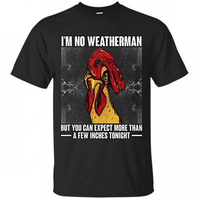Im No Weatherman T-Shirt - Funny Shirt