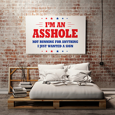 Alternative view of I'm An Asshole Not Running For Anything I Just Wanted A Sign Framed Canvas Prints - Unframed Poster