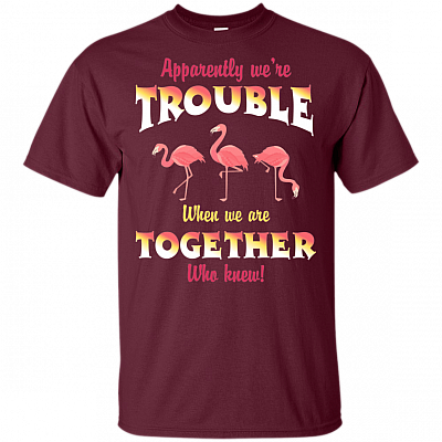 Apparently We're Trouble When We Are Together Who Knew T-Shirt - Flamingo Drunk Trouble Together Tee Shirt
