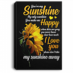 My Only Sunshine You-Make Me-Happy When Skies Are Gray Gallery Wrapped Framed Canvas Prints - Unframed Poster
