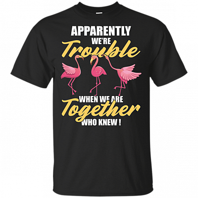 Apparently We're Trouble When We Are Together Who Knew Flamingo T-Shirt