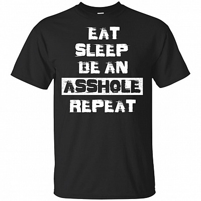 Eat Sleep Be An Asshole-Repeat Funny T-shirt - V-neck Tee
