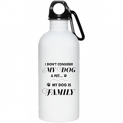 20 oz. Stainless Water Bottle