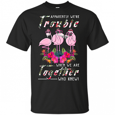 Apparently We Are Trouble When We Are Together Who Knew T-Shirt - Funny Flamingos Shirt