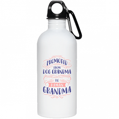 20 oz. Stainless Water Bottle