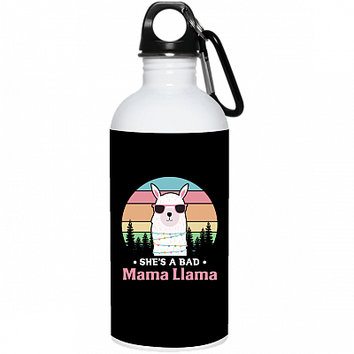 20 oz. Stainless Water Bottle