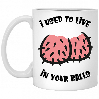 I Used To Live In Your Balls Funny Fathers Ceramic Coffee Mug - Beer Stein -Water Bottle - Color Changing Mug