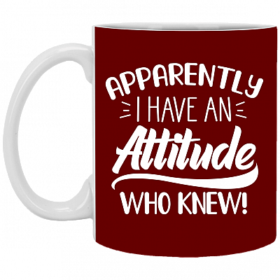 Apparently I Have An Attitude Who Knew Funny Coffee Mug - Beer Stein- Water Bottle