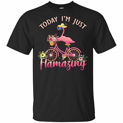 Today I'm Just Flamazing T-Shirt