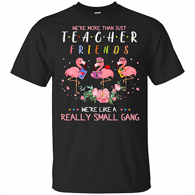 We're More Than Just Teacher-Friends We're Like A Really Small Gang Flamingo T-Shirt