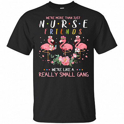 We're More Than Just Nurse-Friends We're Like A Really Small Gang Flamingo T-Shirt