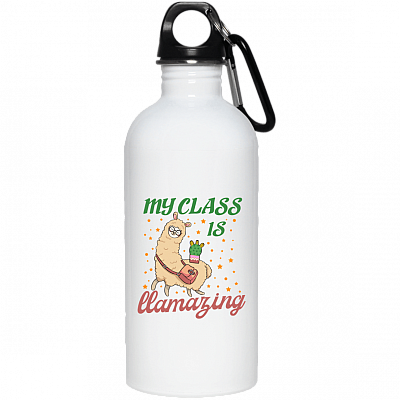 20 oz. Stainless Water Bottle