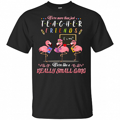 We're More Than Just Teacher Friends Flamingos T-Shirt Fun Flamingo Friends Teacher Tee Shirt