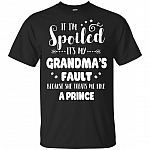 If Im Spoiled Its My Grandma's Fault Because She Treats Me Like A Prince T-Shirt For Kids