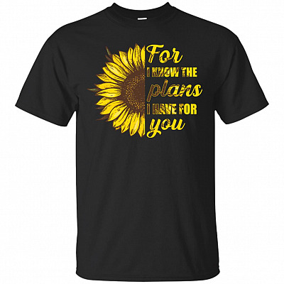For I Know The Plans I Have For You Women Jere miah 29:11 T-Shirt - V-Neck Tee