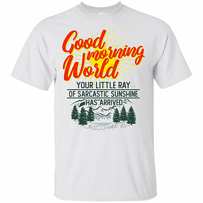 Good Morning World Your Little Ray Of Sarcastic Sunshine Has Arrived T-Shirt
