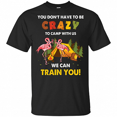 You Don't Have To Be Crazy To Camp With Us We Can Train You T-Shirt