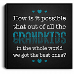 How Is It Possible Out Of All The Grandkids We Got The Best Ones Framed Canvas - Unframed Poster
