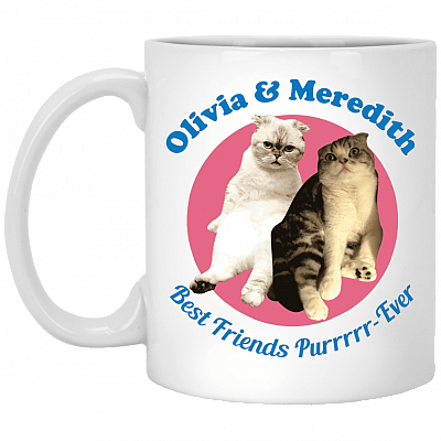 Original Olivia & Meredith Best Friends Pur Ever Swift Friends Cats Mug - Travel Mug - Stainless Steel Bottle - Beer Stein
