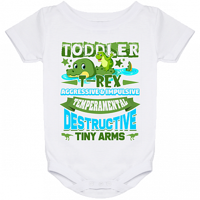 Baby Onesie - 24 Month