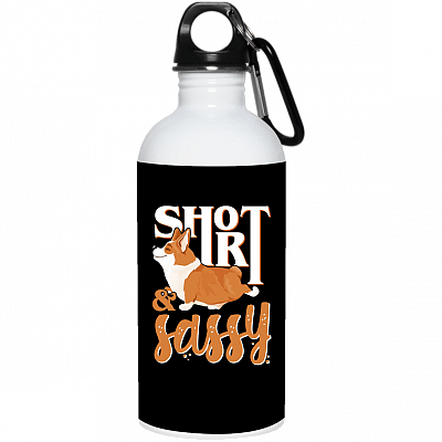 20 oz. Stainless Water Bottle