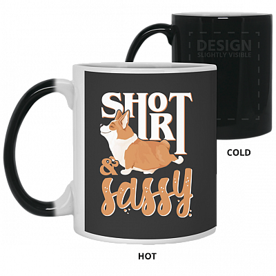 11 oz. Color Changing Mug