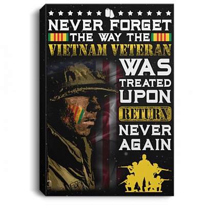Never Forget The Way The Vietnam Veteran Was Treated Upon Return Framed Canvas Prints - Unframed Poster