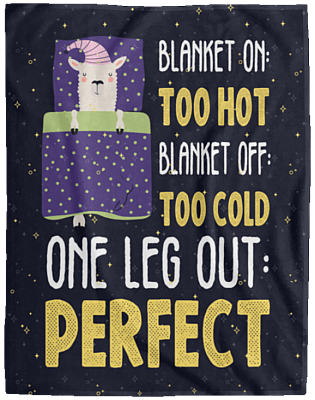 Cozy Plush Fleece Blanket - 60x80