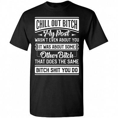 Chill Out Bitch My Post Wasn't Even About You It Was About Some Other Bitch T-Shirt