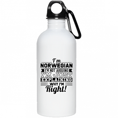 20 oz. Stainless Water Bottle