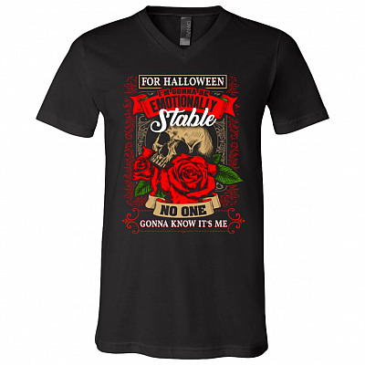 V-Neck T-Shirt