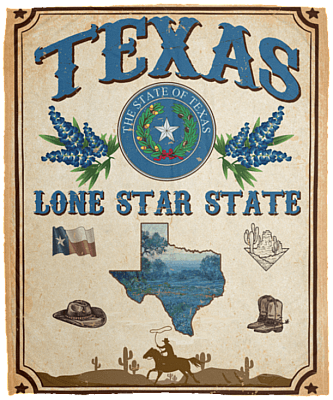 Texas Lone Star State Vintage Retro Fleece Blanket - Premium Sherpa Blanket
