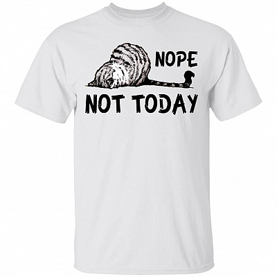 Nope Not Today T-Shirt