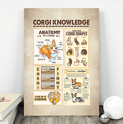 Alternative view of Corgi Knowledge Anatomy Of A Corgi Gallery Wrapped Framed Canvas Prints - Unframed Poster - Home Decor Wall Art
