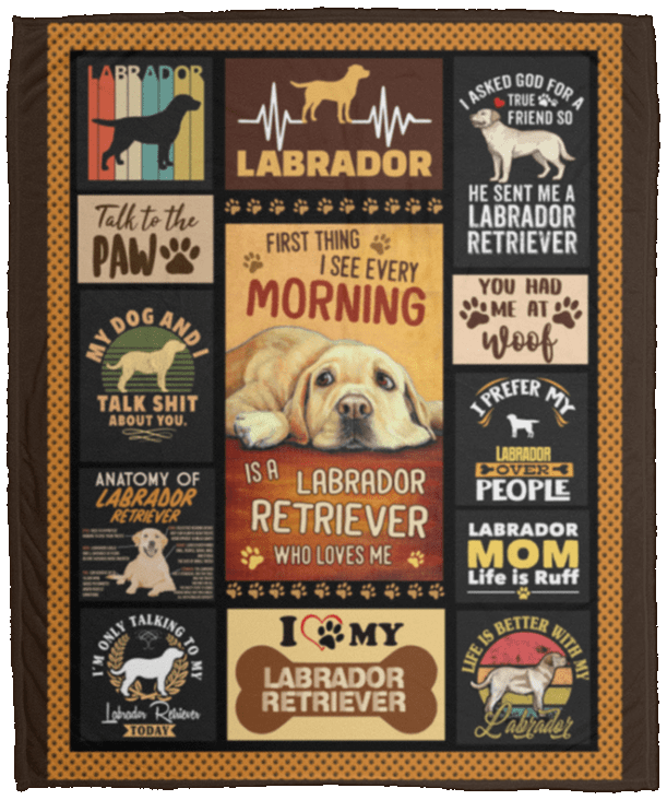 black poodle puppies for sale near me