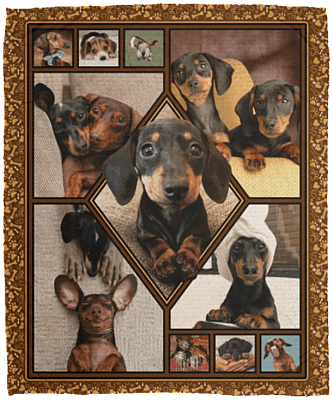 Dachshunds Lovers Fleece Blanket - Premium Sherpa Blanket - Woven Blanket