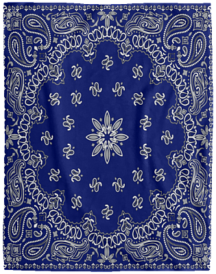 Cozy Plush Fleece Blanket - 60x80