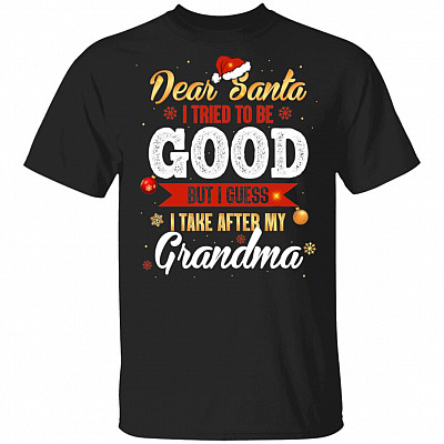 Dear Santa I Tried To Be Good But I Guess I Take After My Grandma T-Shirt - Youth Tee