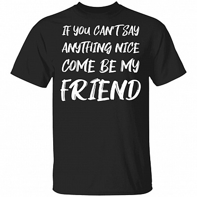 If You Can't Say Anything Nice Come Be My Friend T-Shirt