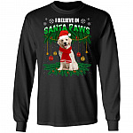 Funny Xmas Golden Retriever Dog I Believe In Santa Paws Christmas Hoodie - Sweatshirt - Long Sleeve Shirt