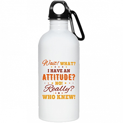 20 oz. Stainless Water Bottle