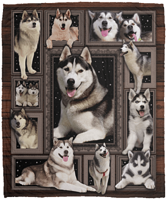Husky-Dog 3D - Husky-Dog Lovers Fleece Blanket - Premium Sherpa Blanket - Woven Blanket