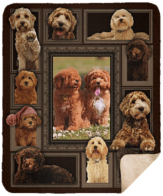 Sherpa Blanket - 50x60