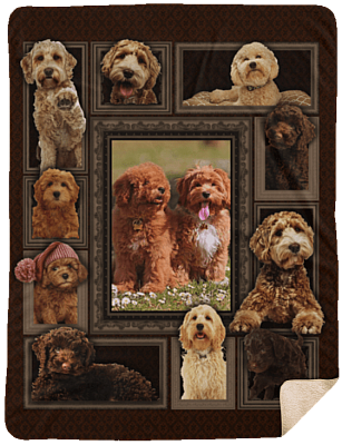 Sherpa Blanket - 60x80