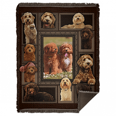 Woven Blanket - 60x80