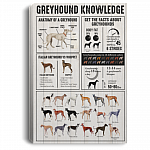Greyhound Knowledge Gallery Wrapped Framed Canvas Prints - Unframed Poster - Home Decor Wall Art