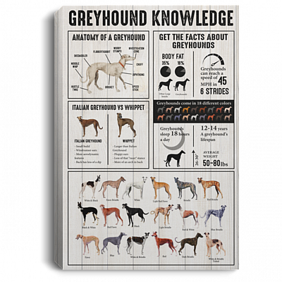 Greyhound Knowledge Gallery Wrapped Framed Canvas Prints - Unframed Poster - Home Decor Wall Art