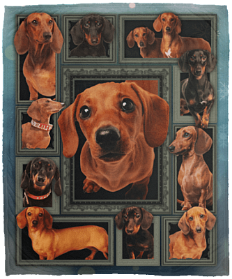 Dachshund Dog Lover Fleece Blanket - Premium Sherpa Blanket - Woven Blanket