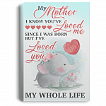My Mother I Know You're Loved Me Since I Was Born Cute Elephant Framed Canvas Prints - Unframed Poster